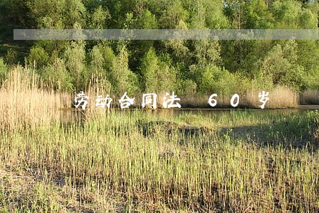 劳动合同法 60岁 劳动合同法 60岁